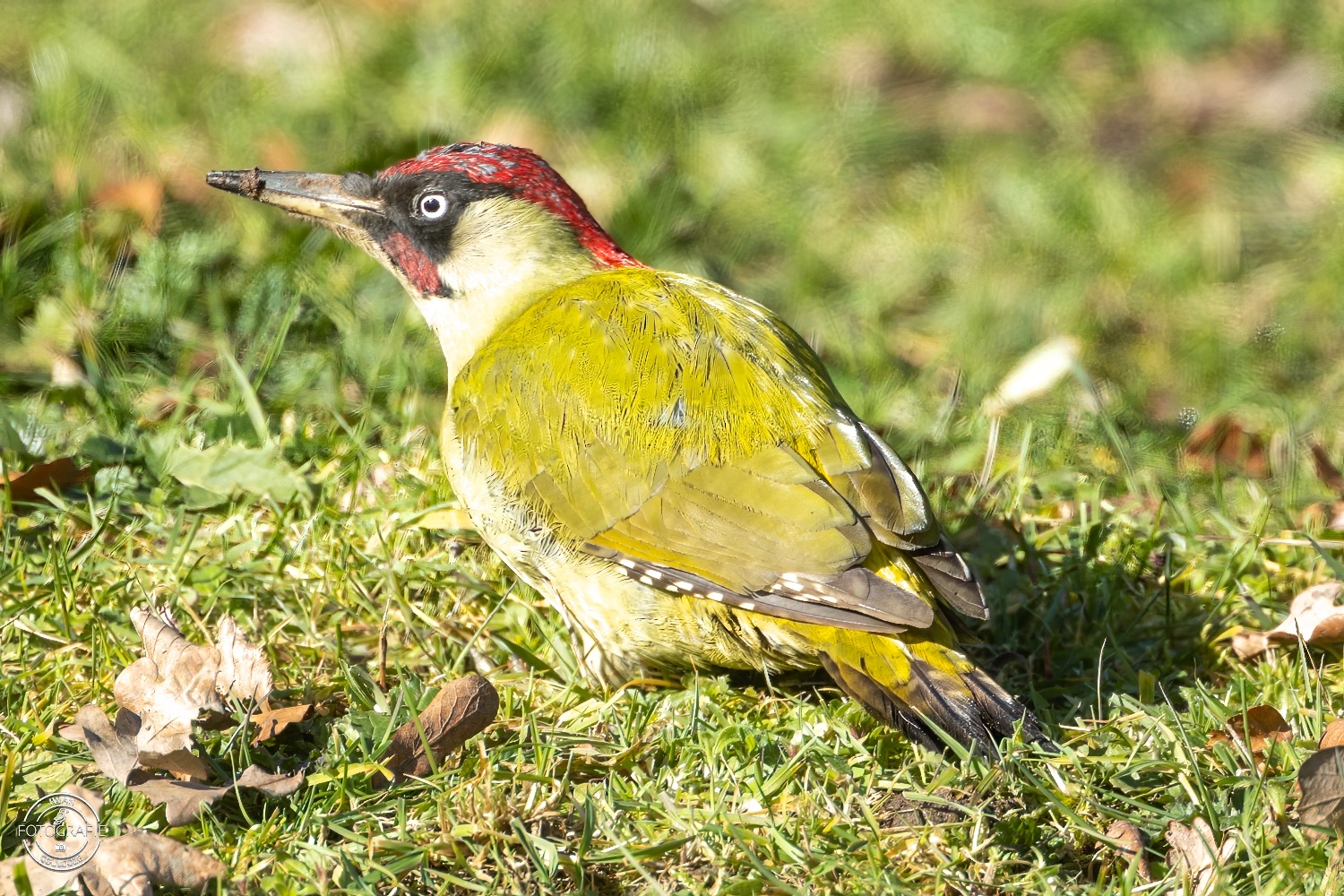 11 maart 2023 140420 1R2A0338 bewerkt